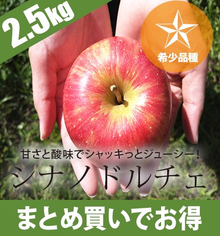 青森りんご シナノドルチェ 2.5kg 産地直送・通販 RED APPLE(レッドアップル)[赤石農園]