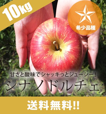 数量限定・希少品種 青森りんご 産地直送・通販 RED APPLE(レッド