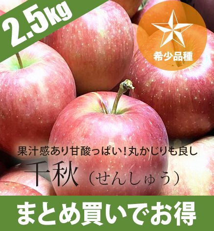 青森りんご 千秋 2.5kg（6〜12個）希少品種