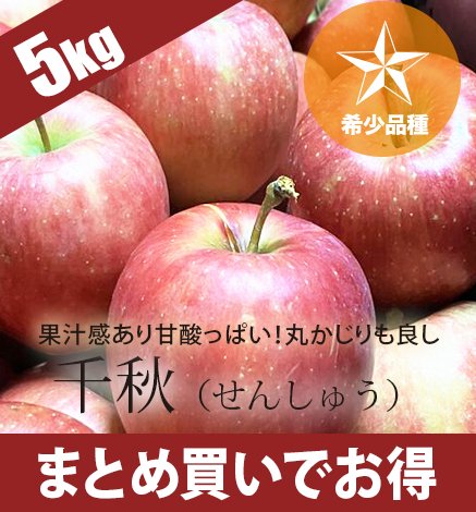 希少品種】青森りんご 千秋 5kg 産地直送・通販 RED APPLE(レッドアップル)[赤石農園]