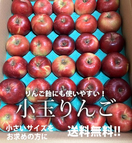 送料無料】青森りんご 小玉 りんご飴にも 産地直送・通販 RED APPLE