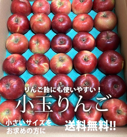 送料無料】青森りんご 小玉 りんご飴にも 産地直送・通販 RED APPLE 