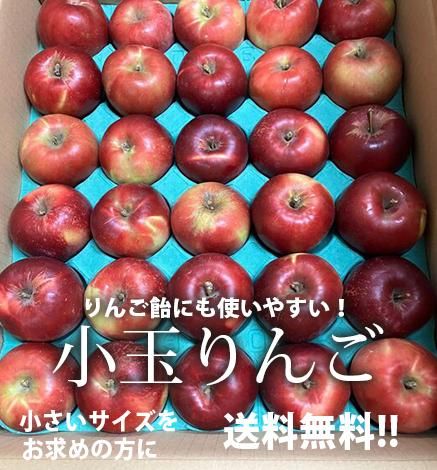 葉とらず青森りんご 産地直送・通販 RED APPLE(レッドアップル) [赤石農園]