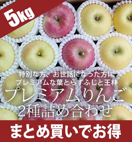 贈答用】【送料無料】特選青森りんご 産地直送・通販 RED APPLE(レッド