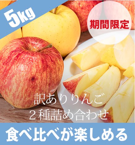 【期間限定】訳ありりんご ２種詰め合わせ5kg (12〜26個)