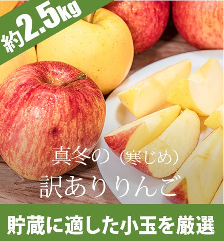 青森りんご 傷ありりんご 青森りんごを産地直送・通販 RED APPLE