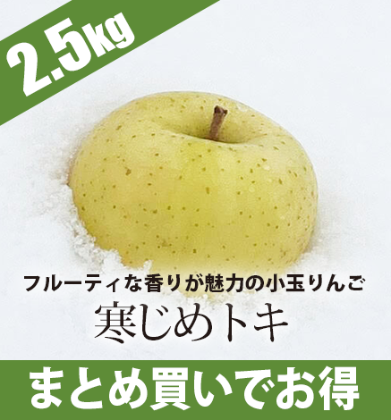 【出荷中】青森りんご 寒じめトキ 2.5kg（9〜14玉）