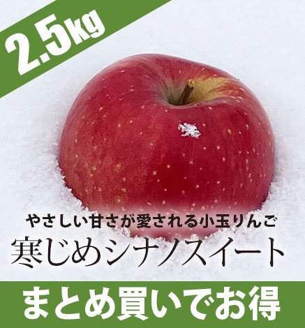 青森りんご 寒じめシナノスイートりんご 2.5kg 産地直送・通販 RED