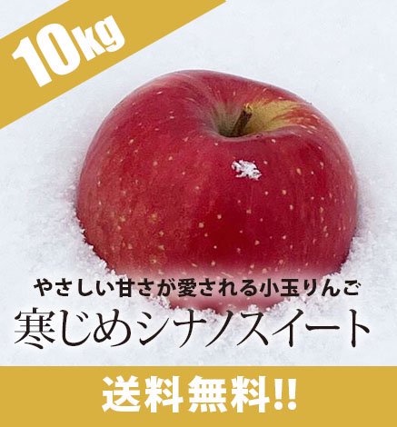 【出荷中】青森りんご 寒じめシナノスイート 10kg（36〜56玉）
