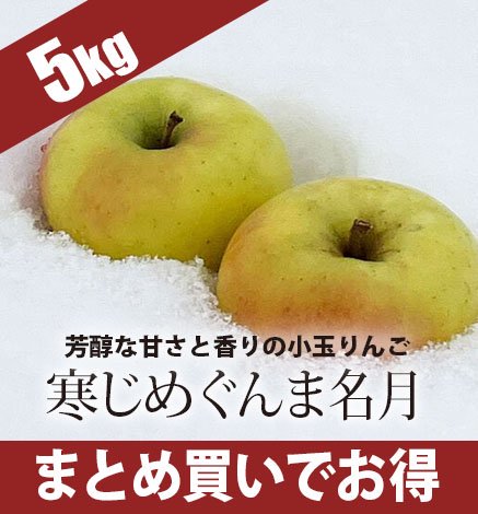 【出荷中】青森りんご 寒じめぐんま名月 5kg（18〜28玉）