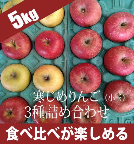 青森りんご りんご詰め合わせ5kg(20～25個) 産地直送・通販 RED APPLE 