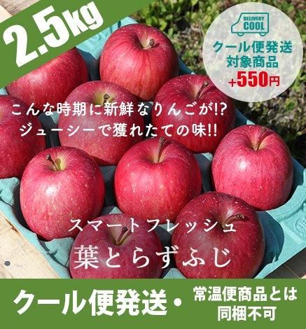 青森りんご アルプス乙女 1kg 産地直送・通販 RED APPLE(レッド