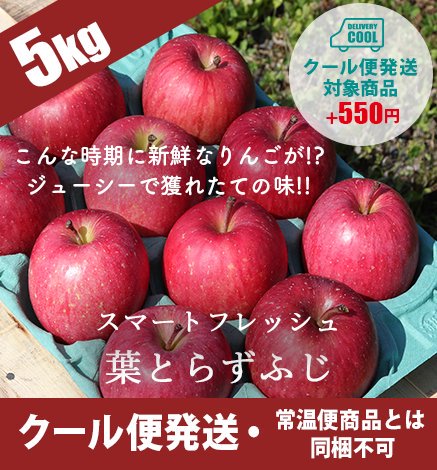 スマートフレッシュりんご(スマフレりんご) 青森から産地直送・通販