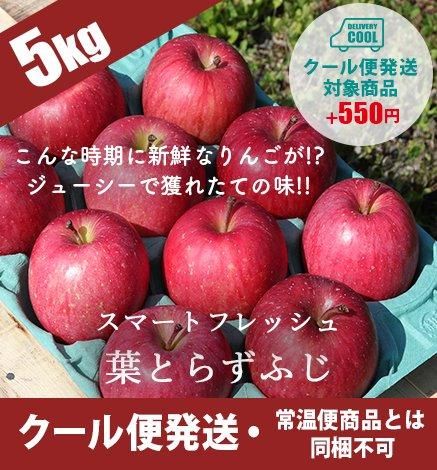 希少品種】青森りんご 千秋 2.5kg 産地直送・通販 RED APPLE(レッド 