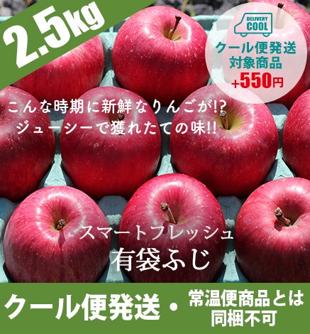 青森りんご アルプス乙女 1kg 産地直送・通販 RED APPLE(レッド 