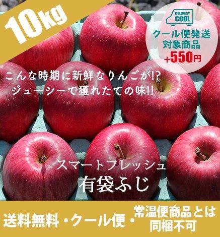 【出荷中】特別貯蔵！スマートフレッシュ有袋ふじ(クール便)10kg