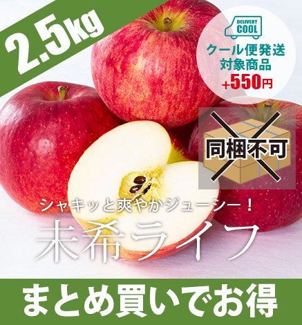 Ŀ ̤饤 2.5kg612ġ˽вٻ9