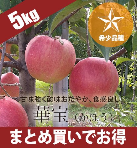 青森りんご 華宝 5kg 産地直送・通販 RED APPLE(レッドアップル)[赤石農園]