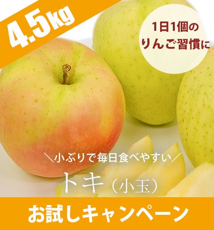 1日1個のりんご習慣【出荷中】 - 葉とらず青森りんご 産地直送・通販 RED APPLE(レッドアップル) [赤石農園]