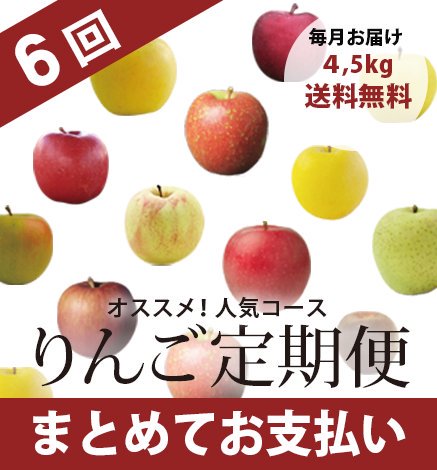 青森りんご定期便 4.5kg｜産地直送・通販 RED APPLE(レッドアップル)赤石農園