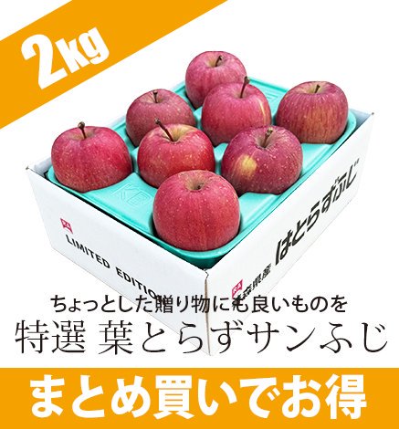 葉とらずふじ 青森りんごを産地直送・通販 RED APPLE(レッドアップル)[赤石農園]