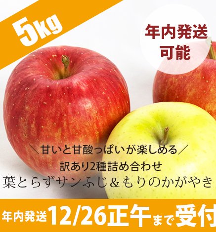 訳あり】青森りんご 訳あり 葉とらずサンふじ もりのかがやき 5kg 産地直送・通販 RED APPLE(レッドアップル)[赤石農園]