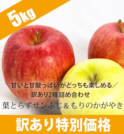 訳あり！お買い得りんご！ - 葉とらず青森りんご 産地直送・通販 RED APPLE(レッドアップル) [赤石農園]