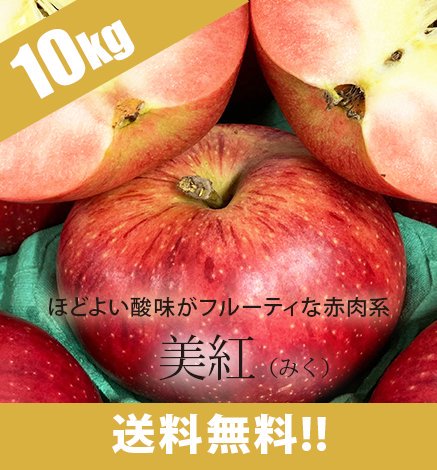 送料無料】赤肉系りんご 青森りんご 美紅 2.5kg 産地直送・通販 RED APPLE(レッドアップル)[赤石農園]