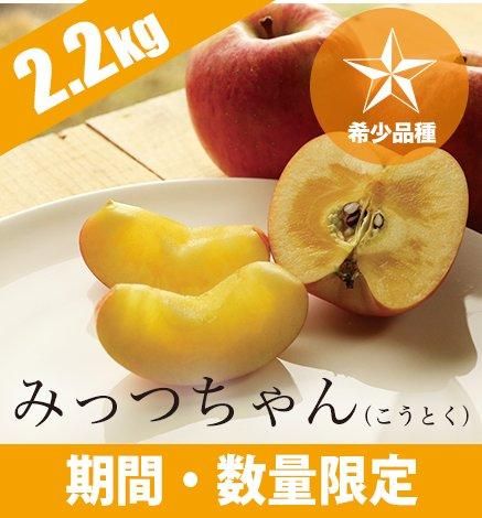◇特大箱◇ 幻の林檎高徳希少りんご青森県産クロネコ便