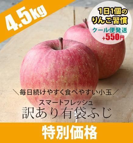 メーカー 一覧 お試し価格りんご【出荷中】 - 葉とらず青森りんご 産地直送 果物