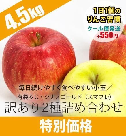 お試し価格りんご【出荷中】 - 葉とらず青森りんご 産地直送