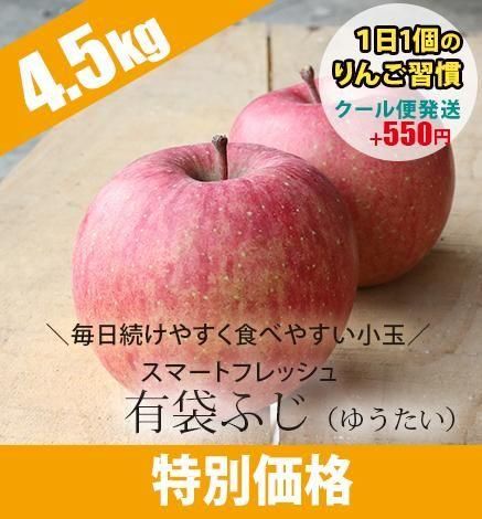 【出荷中】有袋ふじ(クール便) 4.5kg (りんご習慣：小玉)