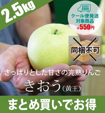 【9月上旬〜中旬出荷】青森りんご きおう（黄王） 2.5kg（6〜10個）