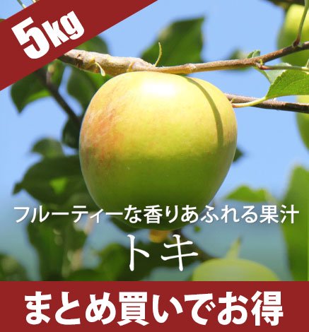 【予約中】青森りんご トキ 5kg（14〜22個）10月上旬より出荷