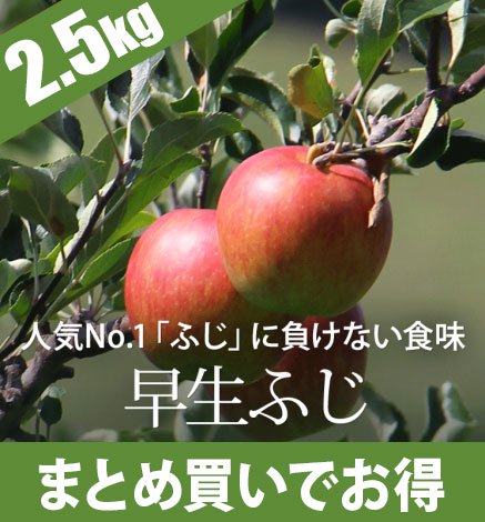 青森りんご 早生ふじ（弘前ふじ ） 2.5kg 産地直送通販 RED APPLE（赤石農園）