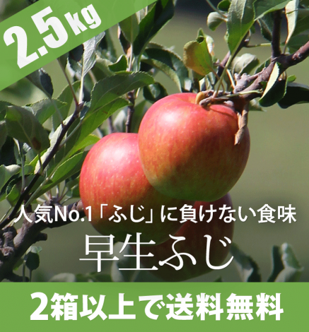 ¡Ú10·î¾å½Ü¡Á¡ÛÁáÀ¸¤Õ¤¸¡Ê¹°Á°¤Õ¤¸ ¡Ë2.5kg¡Ê6¡Á10¸Ä¡Ë