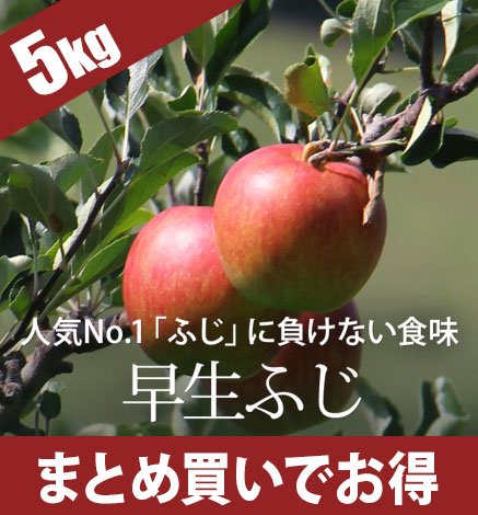 予算で選ぶ【3,000円～4,999円】 青森りんご・林檎ジュース・青森米 