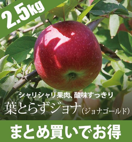 【10月下旬〜】りんご 葉とらずジョナ（ジョナゴールド） 2.5kg（6〜10個）