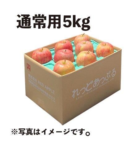 まとめ買いで送料無料】青森りんご 葉とらずジョナ（ジョナ