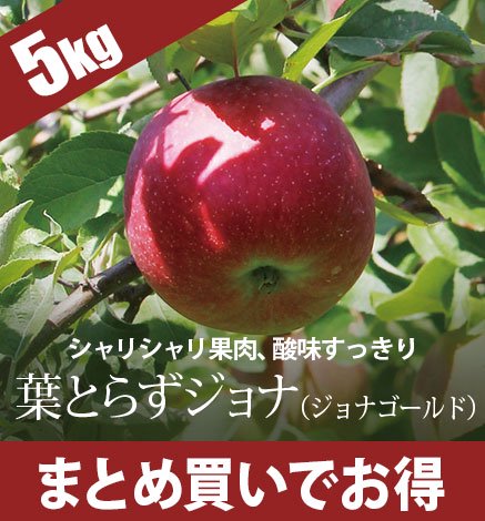 【10月下旬〜】青森りんご 葉とらずジョナ（ジョナゴールド） 5kg（12〜20個）