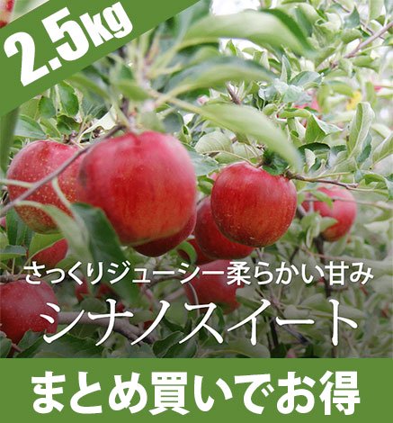 取扱中の青森りんご一覧 産地直送・通販 RED APPLE(レッドアップル