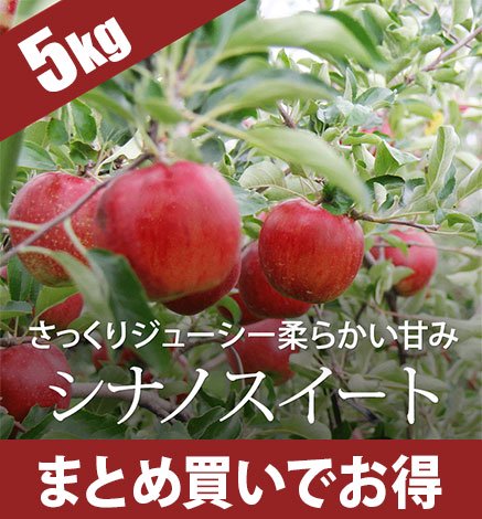 【予約中】青森りんご シナノスイート 5kg（12〜20個）10月下旬より出荷