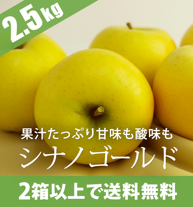 青森りんご シナノゴールド 2 5kg 産地直送 通販 Red Apple レッドアップル 赤石農園