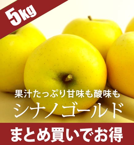 【出荷中】青森りんご シナノゴールド 5kg（12〜24個）