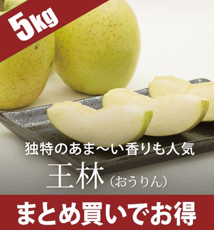 まとめ買いで送料無料】青森りんご 王林(おうりん) 5kg 産地直送・通販