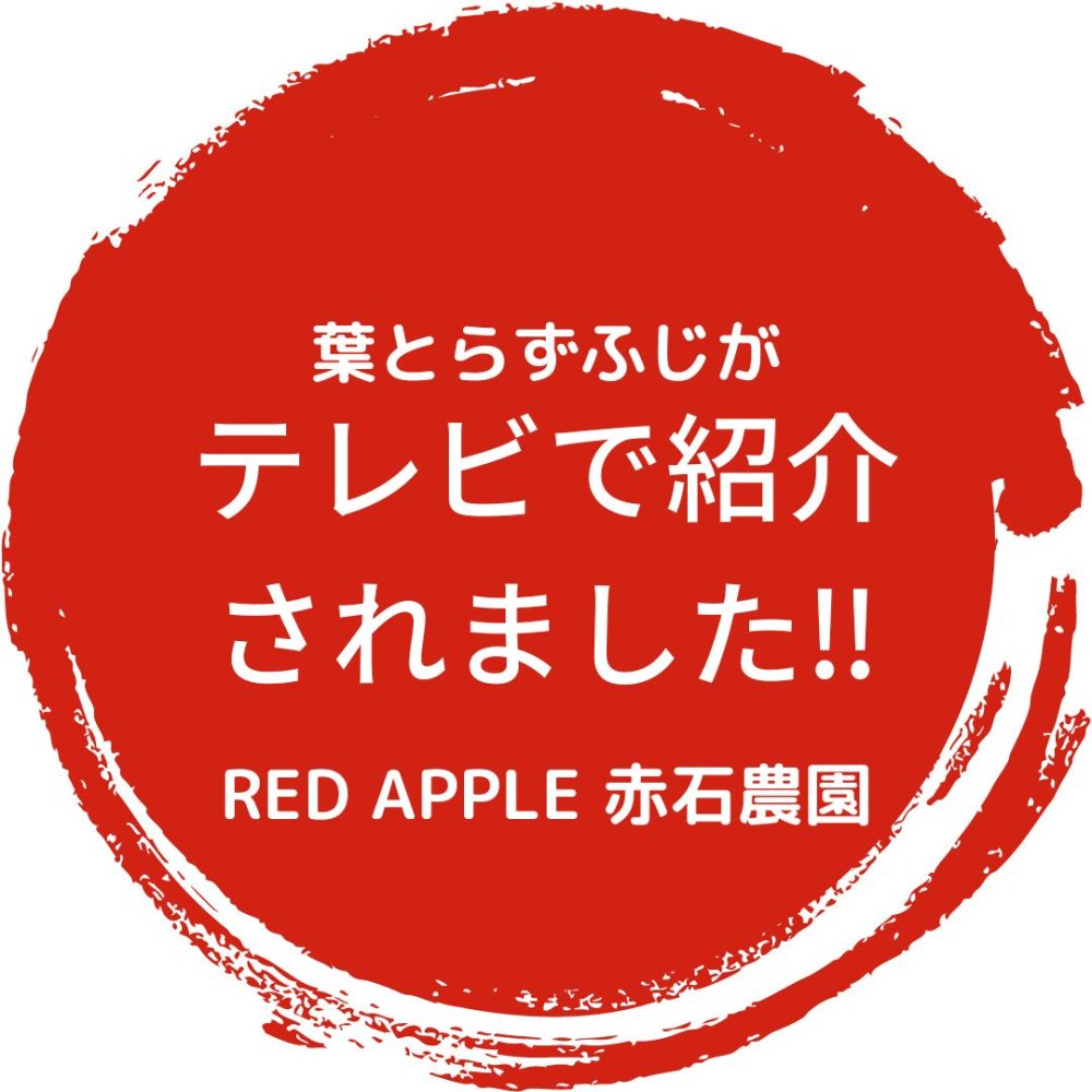 かじり木農薬不使用 長さ10㎝27本前後、2㎝前後130個 メルカリ