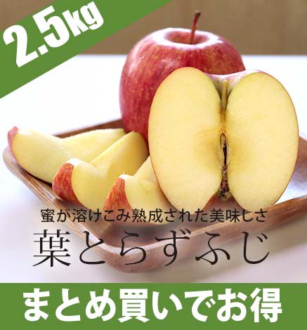 【出荷中】青森りんご 葉とらずふじ 2.5kg（6〜12個）