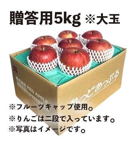 まとめ買いで送料無料】青森りんご 葉とらずサンふじ 5kg 産地