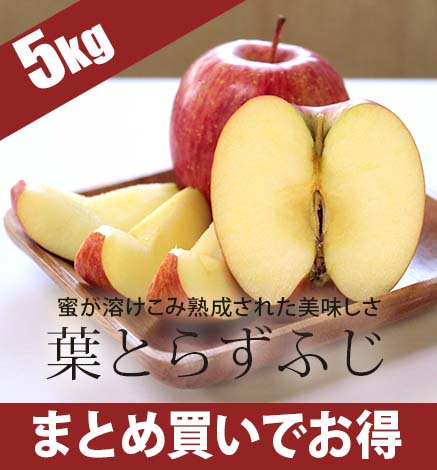 【11月中旬〜】青森りんご 葉とらずふじ 5kg（12〜20個）