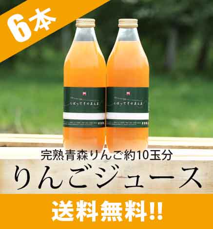 送料無料 完熟濃厚青森りんご100 林檎ジュース しぼってそのまんま 6本 産地直送通販 Red Apple 赤石農園